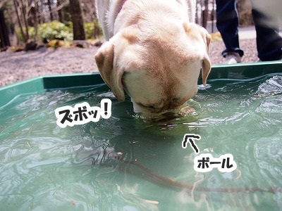 GW前半は_e0192217_8555482.jpg