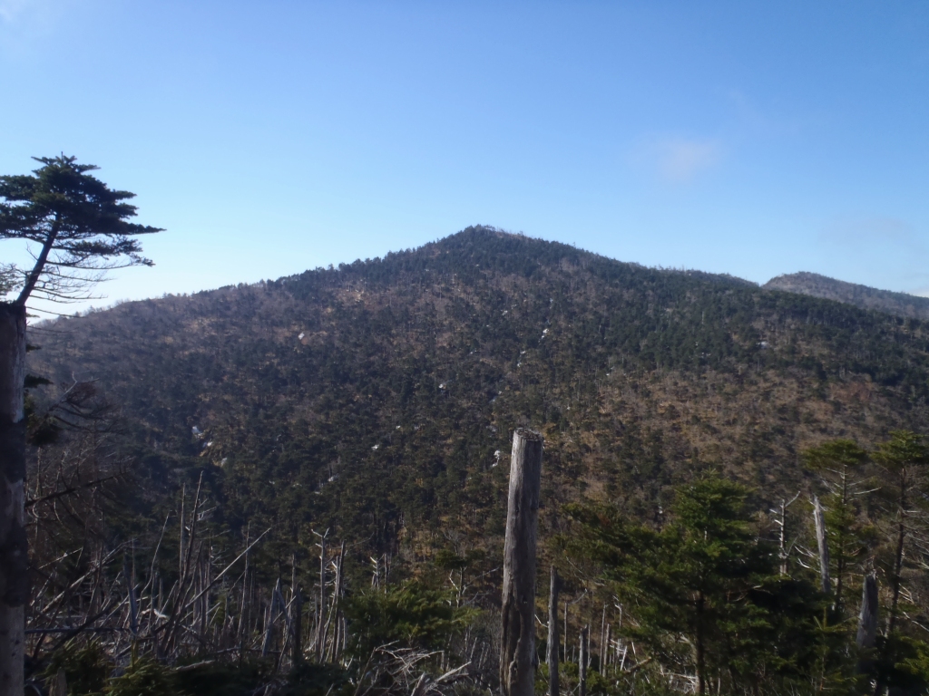 e0171018_2227356.jpg