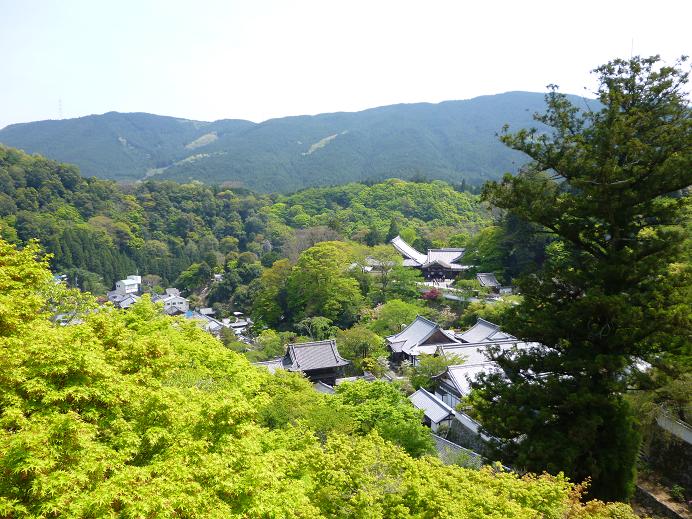 f0228619_01091.jpg