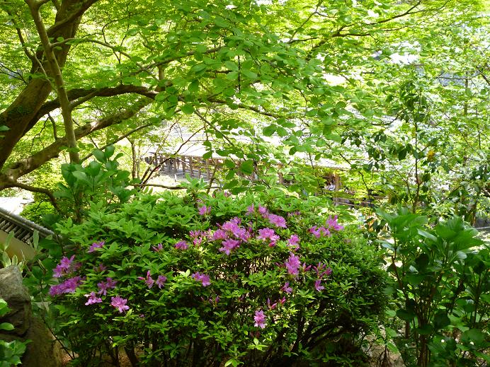 f0228619_0374092.jpg