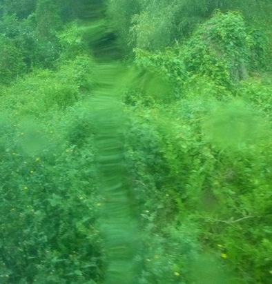 d0251120_23381759.jpg