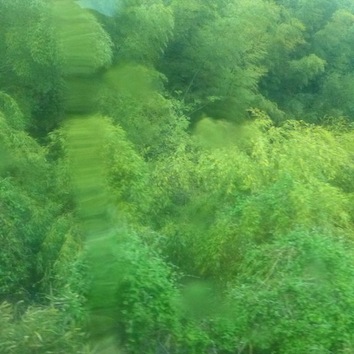 d0251120_23382176.jpg