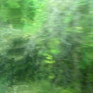 d0251120_23424537.jpg