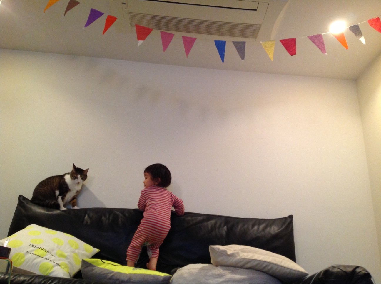 1歳8ヵ月になりました。_e0253026_7381279.jpg