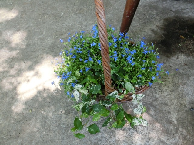 チ-ム宿り木_c0102228_20563515.jpg