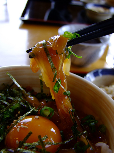 「隠岐(島前・海士) 寒シマメ漬け丼」_a0000029_2304590.jpg