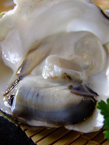 「隠岐(島前・海士) 寒シマメ漬け丼」_a0000029_2315799.jpg