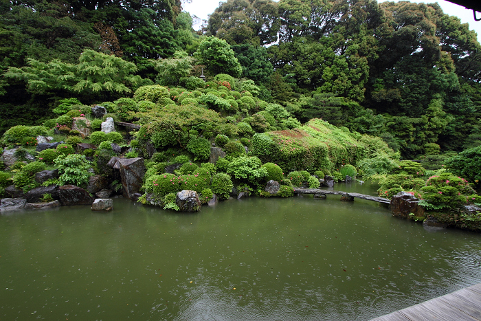 雨の智積院（後編）_b0169330_20498.jpg