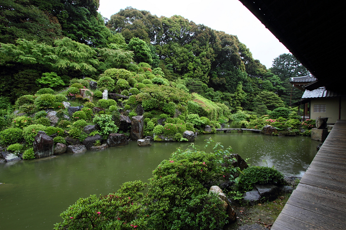 雨の智積院（後編）_b0169330_21382794.jpg