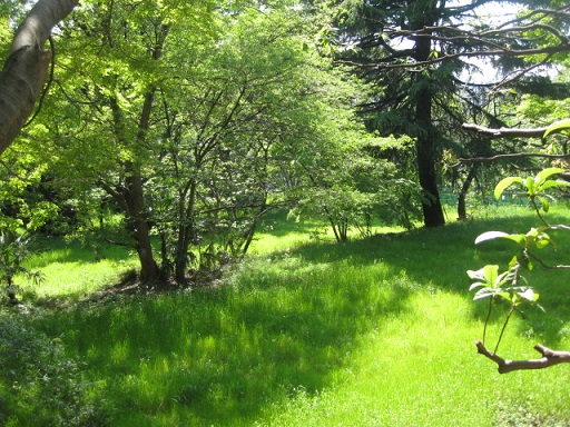 c0217931_125731100.jpg