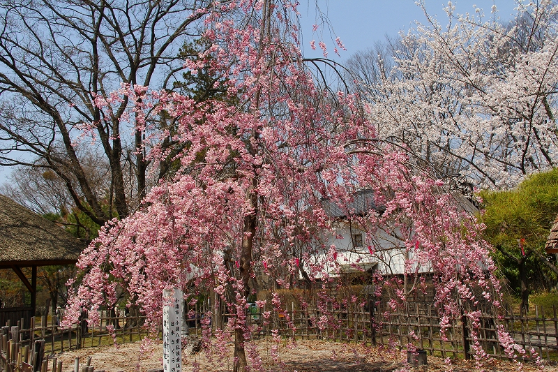 f0229832_17202549.jpg