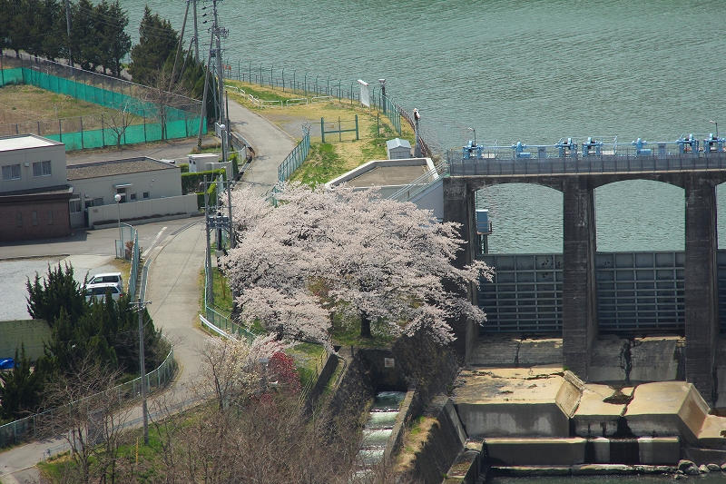 f0229832_17244960.jpg