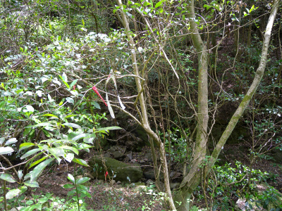 e0272335_1862193.jpg