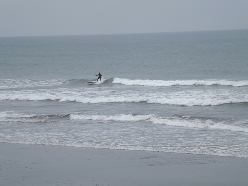 f0248337_1642379.jpg