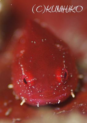 b0163039_15121070.jpg