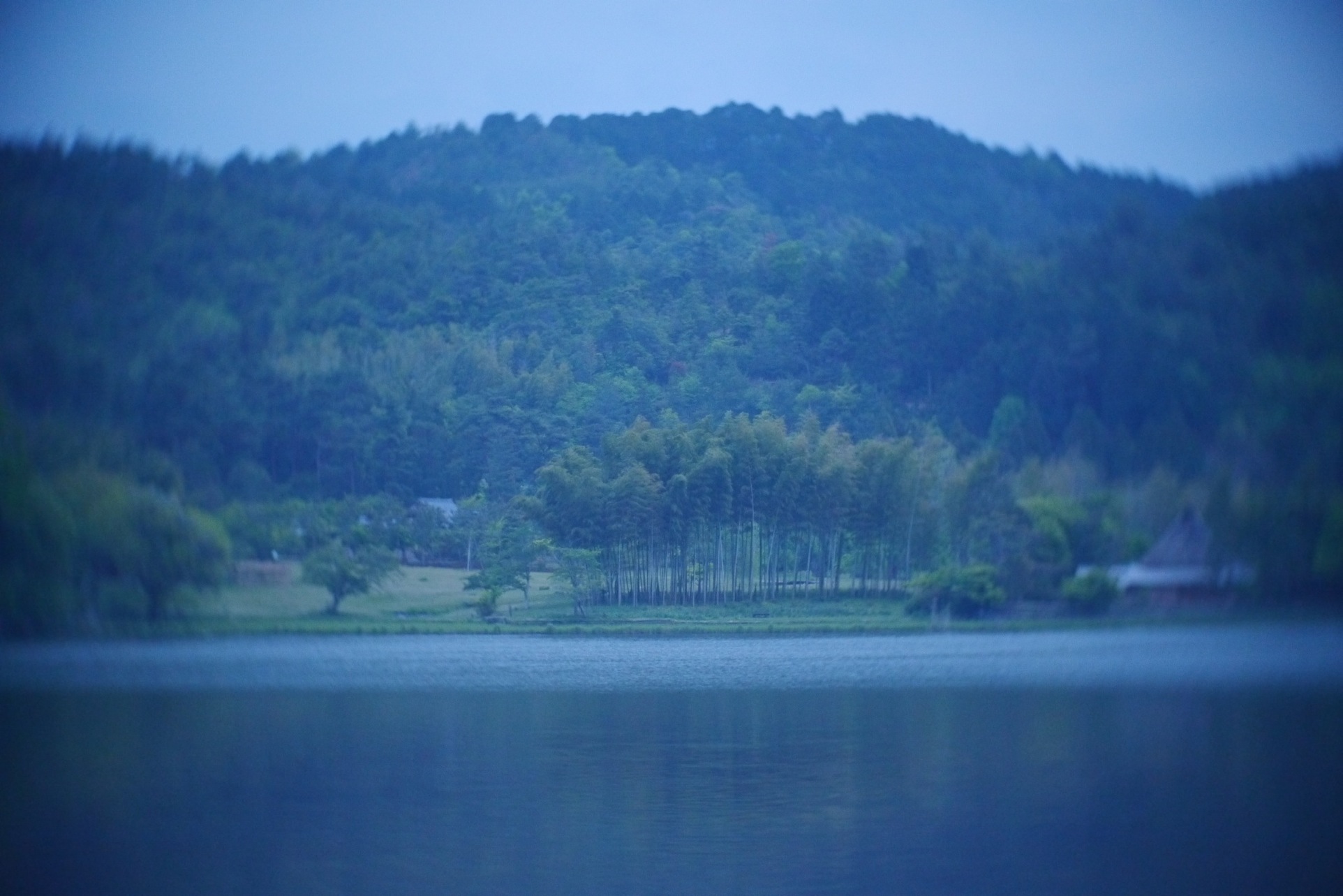 広沢池_e0144041_10232750.jpg