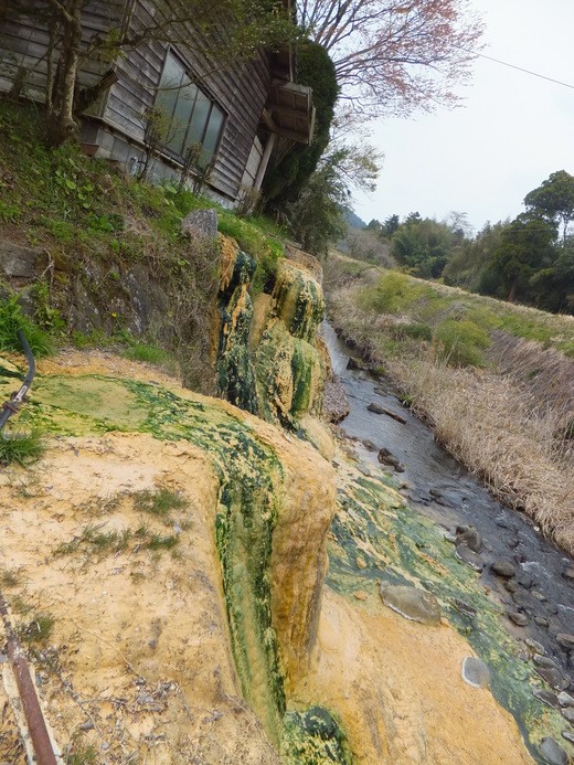 久住－『長湯温泉　郷の湯旅館』_d0289147_16364332.jpg