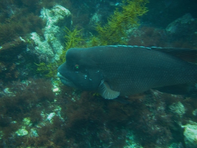 d0058549_1718298.jpg