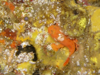d0058549_17195743.jpg