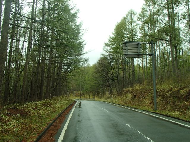 f0191656_17544478.jpg