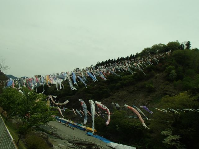 f0191656_1882560.jpg