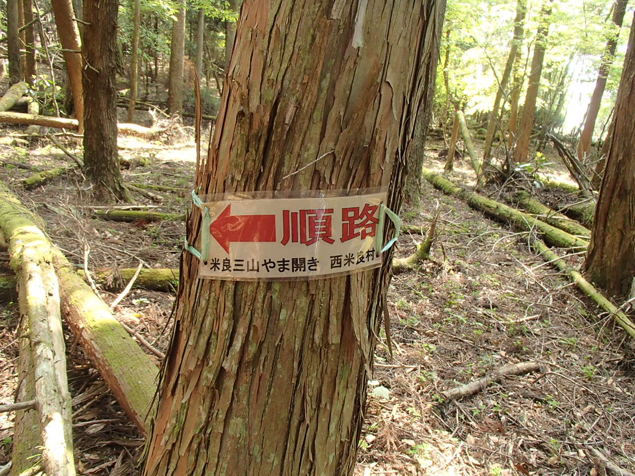 b0276758_10461976.jpg