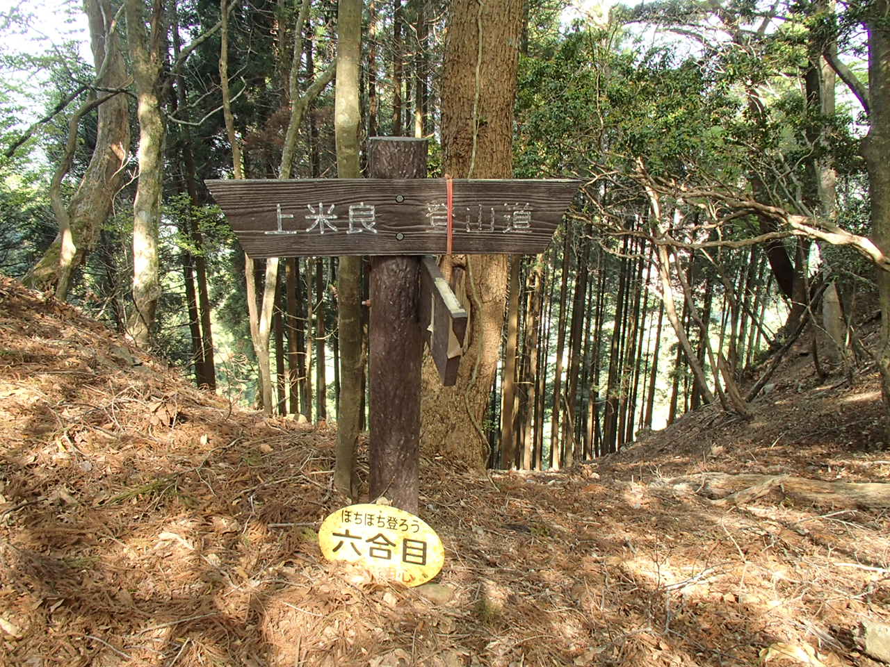 b0276758_104632100.jpg
