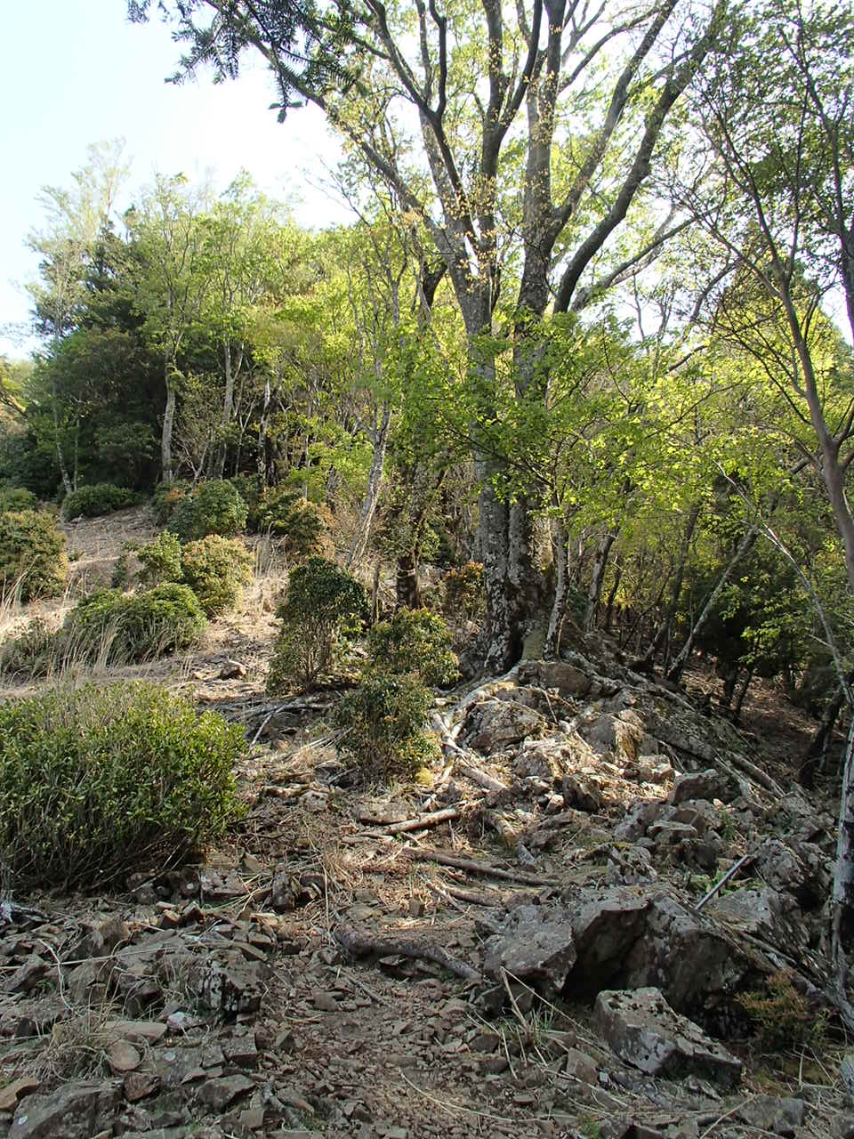 b0276758_10491213.jpg