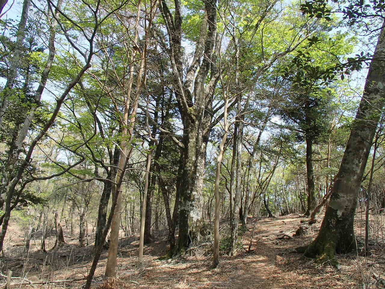 b0276758_10504550.jpg