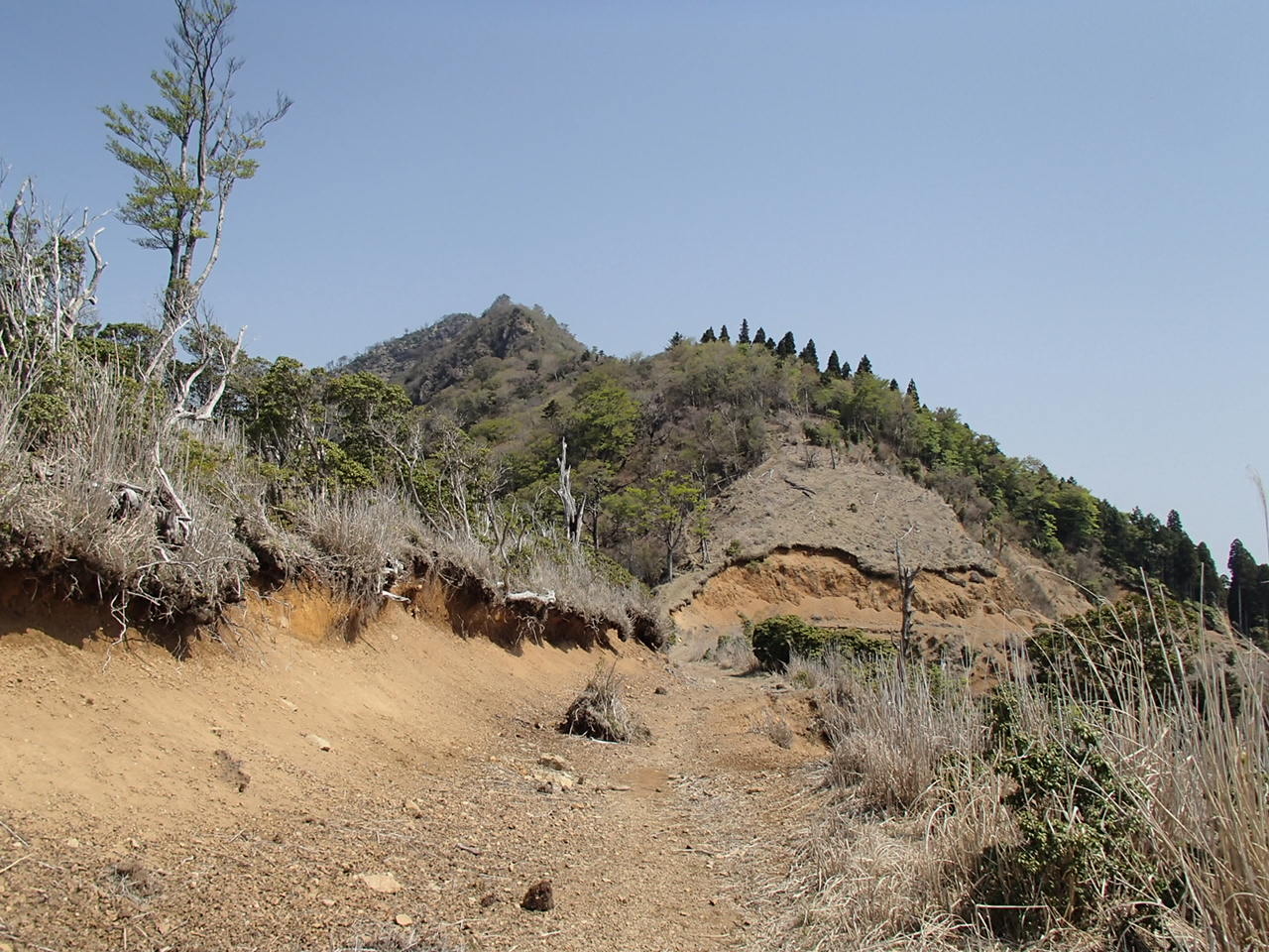 b0276758_10561880.jpg