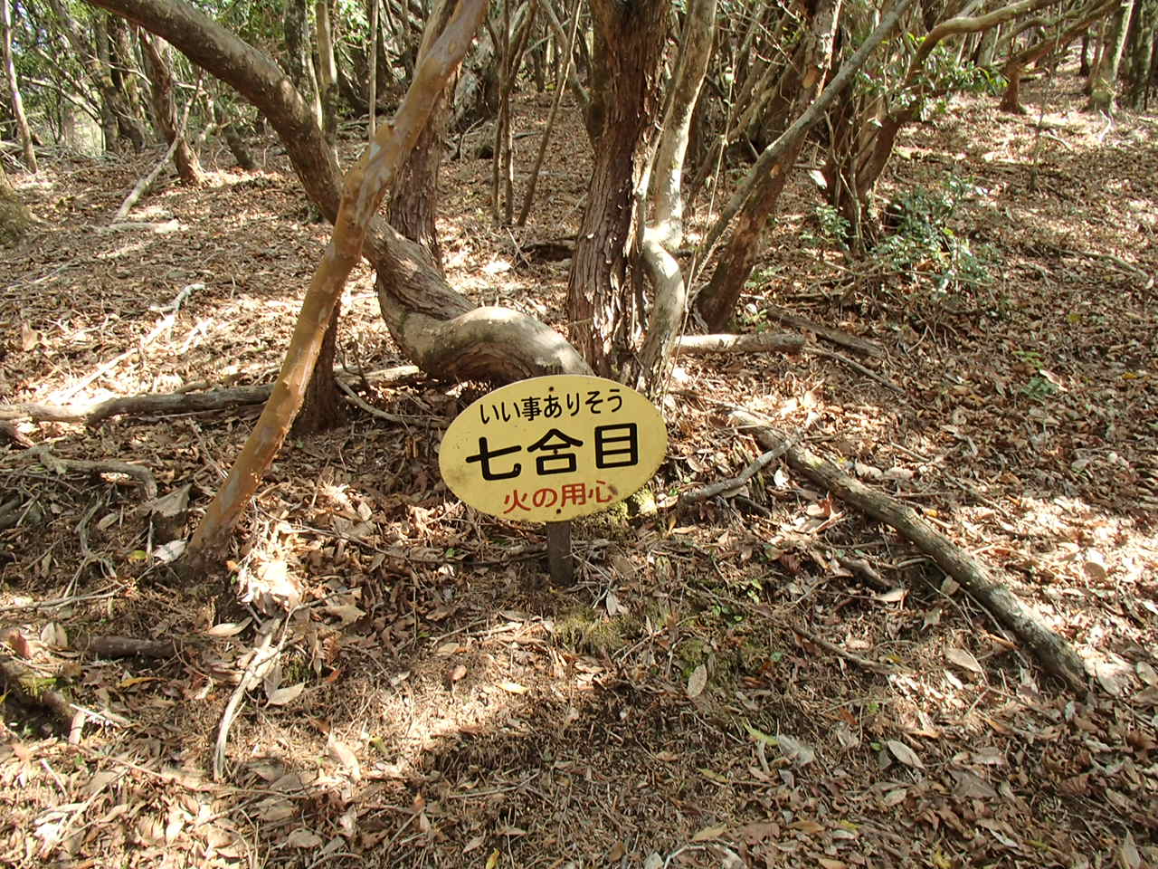b0276758_11494283.jpg