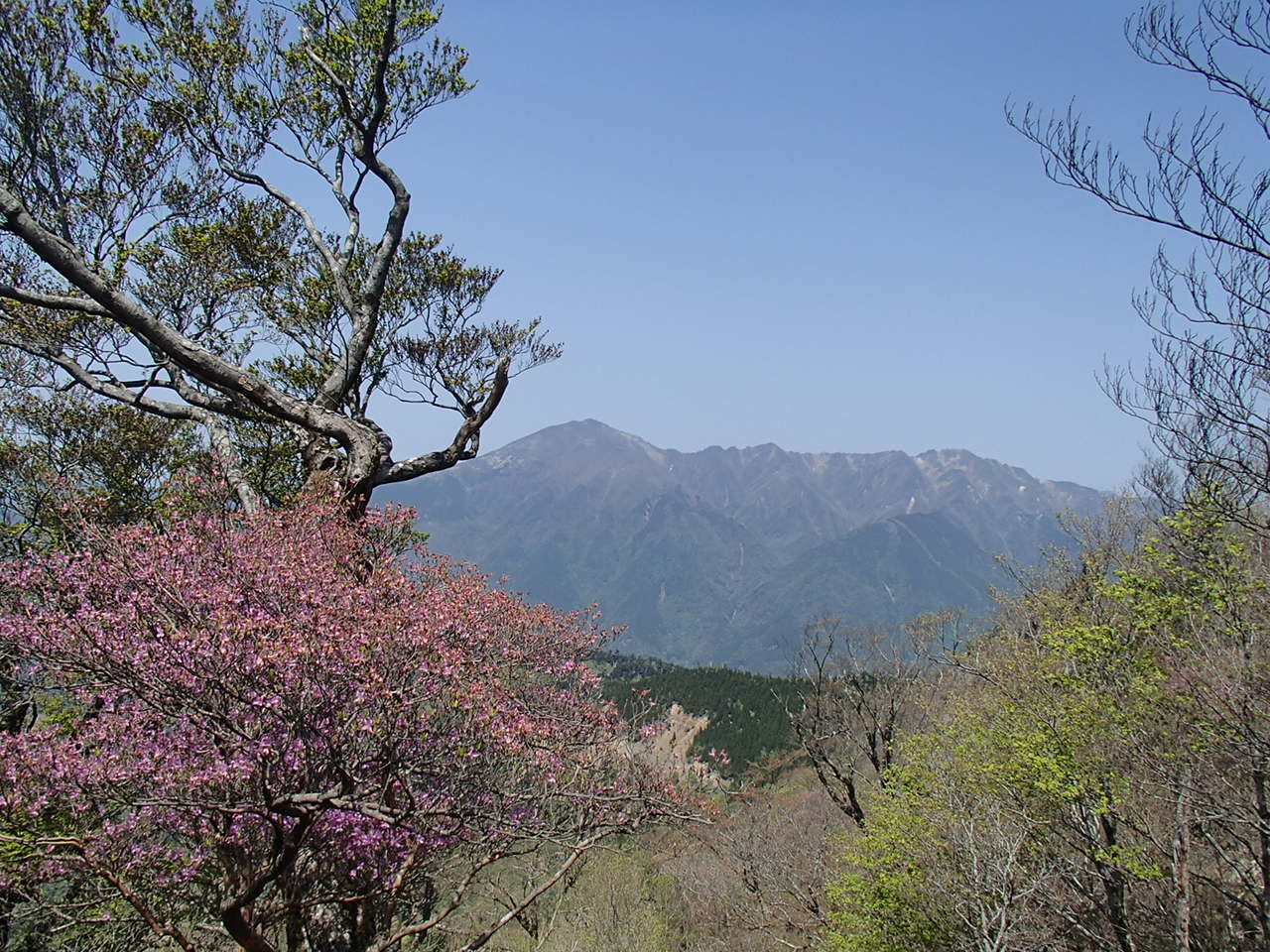 b0276758_1154085.jpg