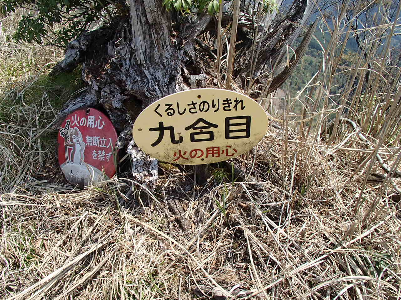 b0276758_11581275.jpg