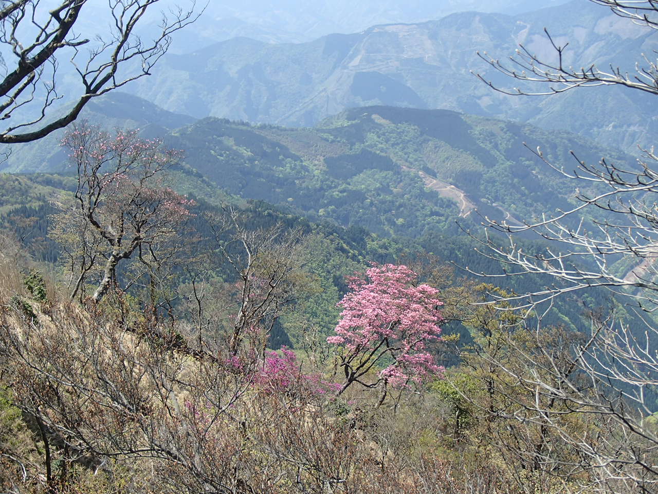 b0276758_1285123.jpg
