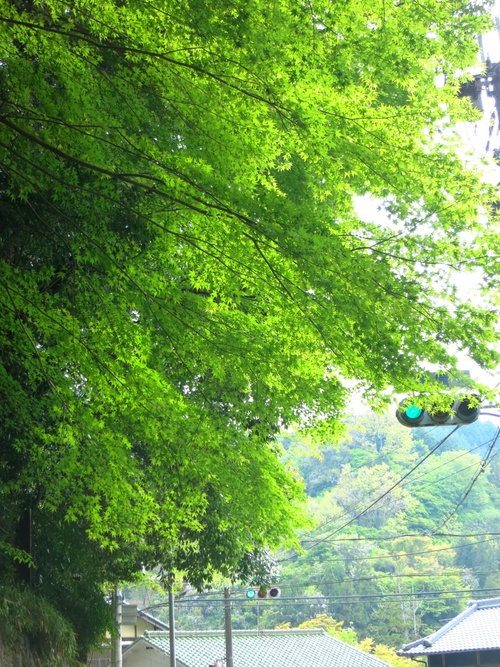 f0236260_1263139.jpg