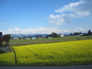 明日から5月です!_a0243562_12574292.jpg
