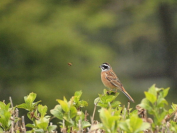 f0215964_15211284.jpg