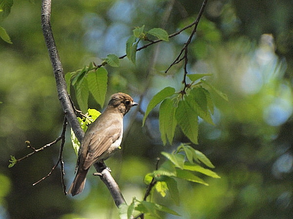 f0215964_1584092.jpg