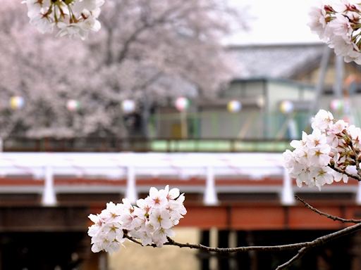 久御山（くみやま）散歩写真_c0191967_9134019.jpg