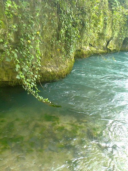 a0286469_21494875.jpg