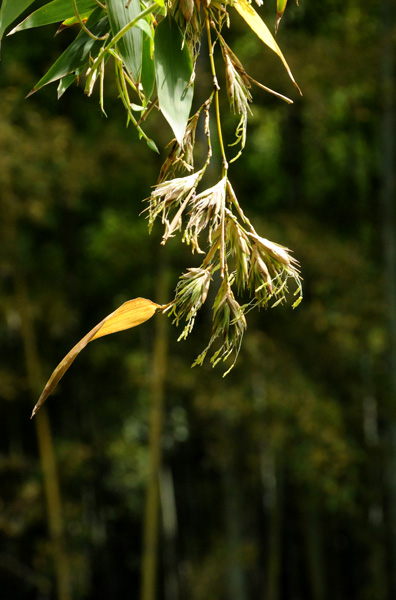e0064375_10253.jpg