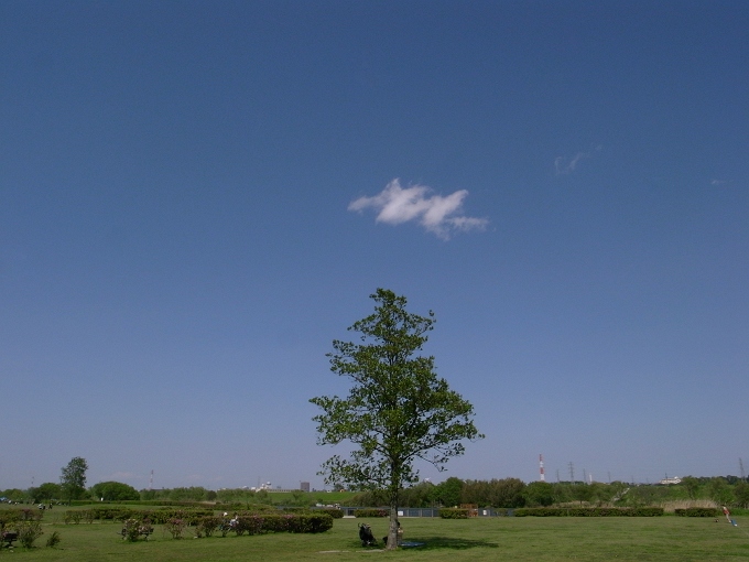 矢切の渡しと少年ソフトボールと柴又公園と_f0115475_14151167.jpg