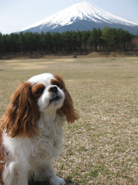 富士山広場を貸し切り～♪_f0175875_19324919.jpg