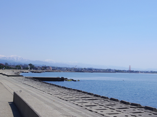 b0284276_11476.jpg