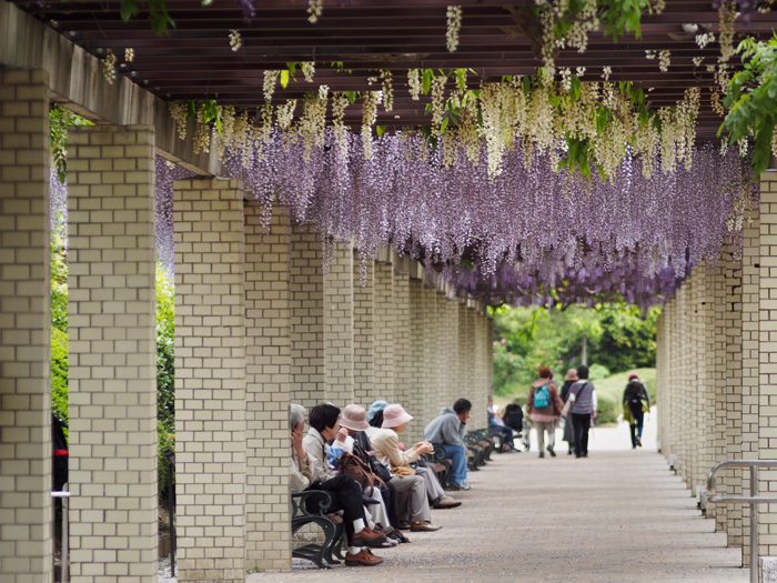 東伊豆～モノクローム～_a0161380_18571642.jpg