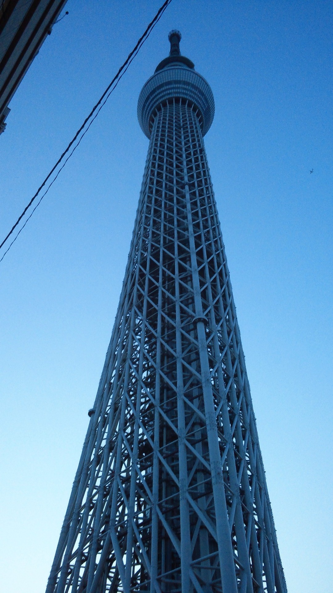 f0062680_050256.jpg
