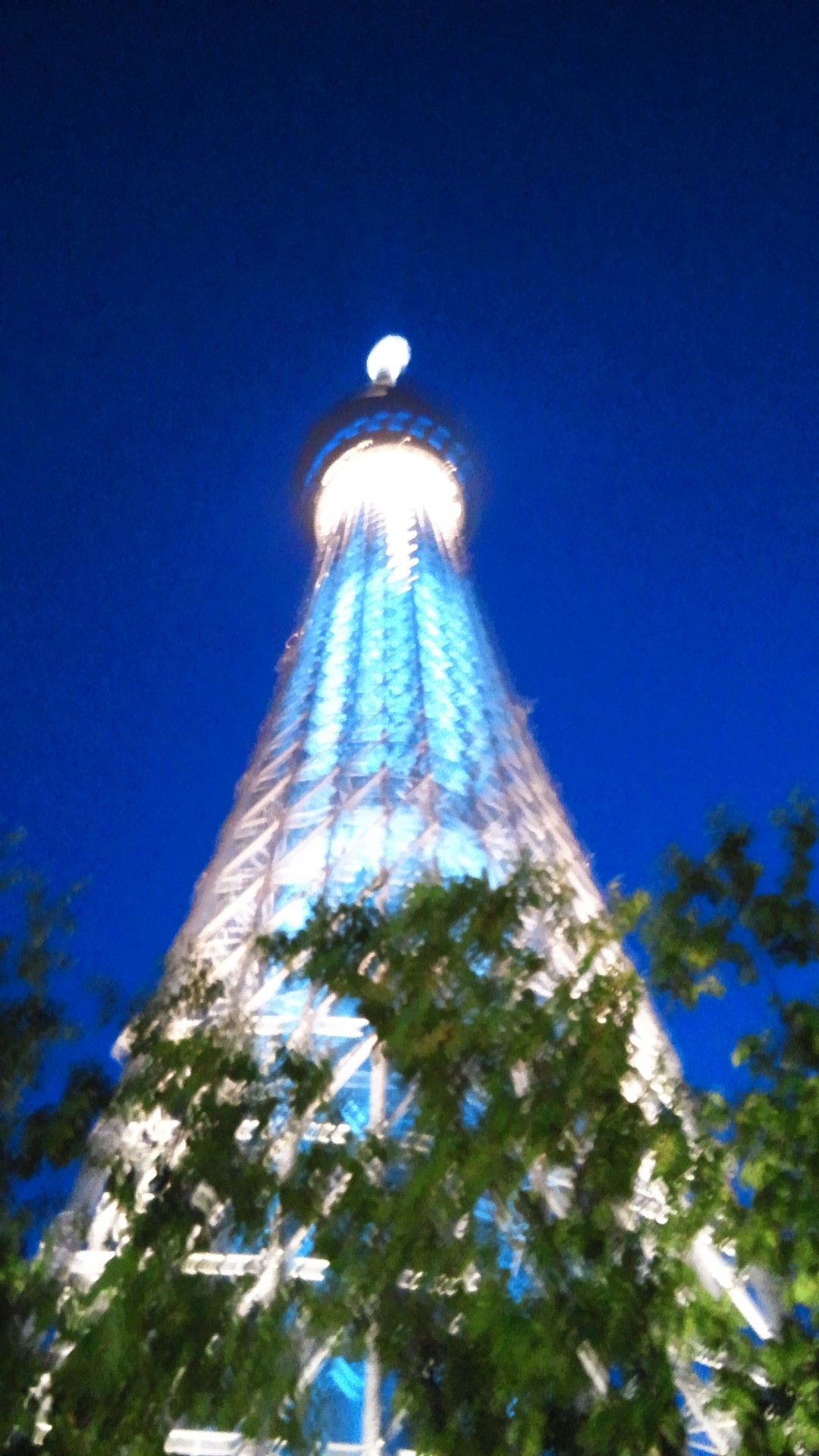 f0062680_051437.jpg