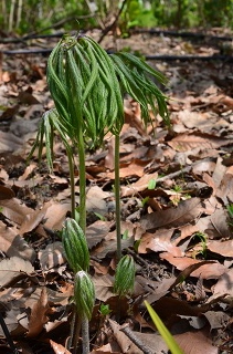 c0229483_22173561.jpg