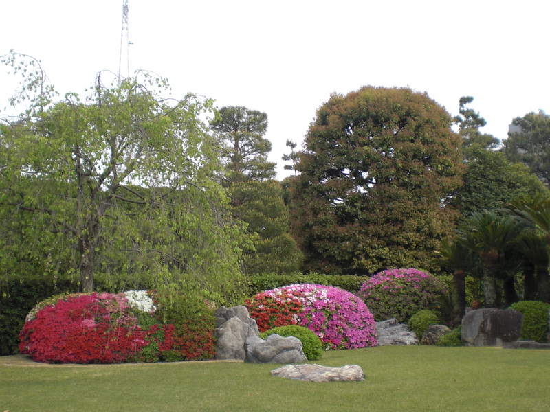 c0013687_220194.jpg