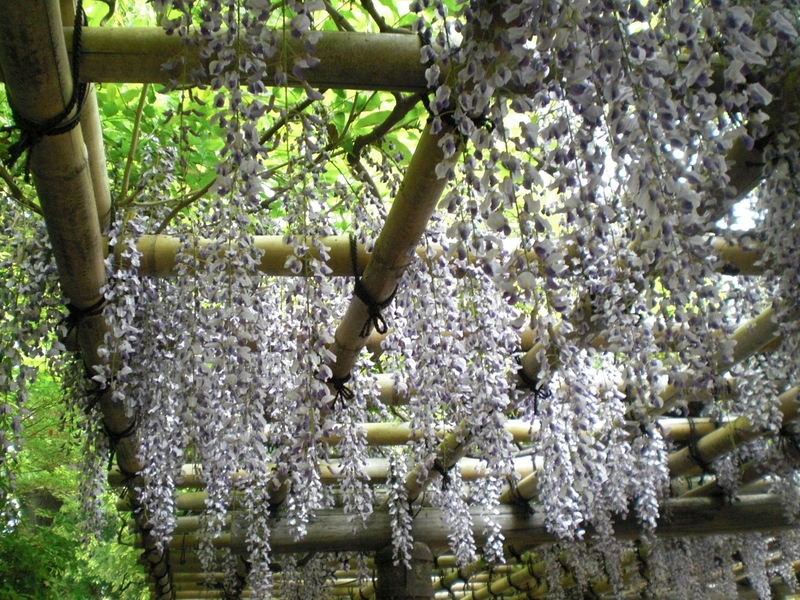 c0013687_22097.jpg